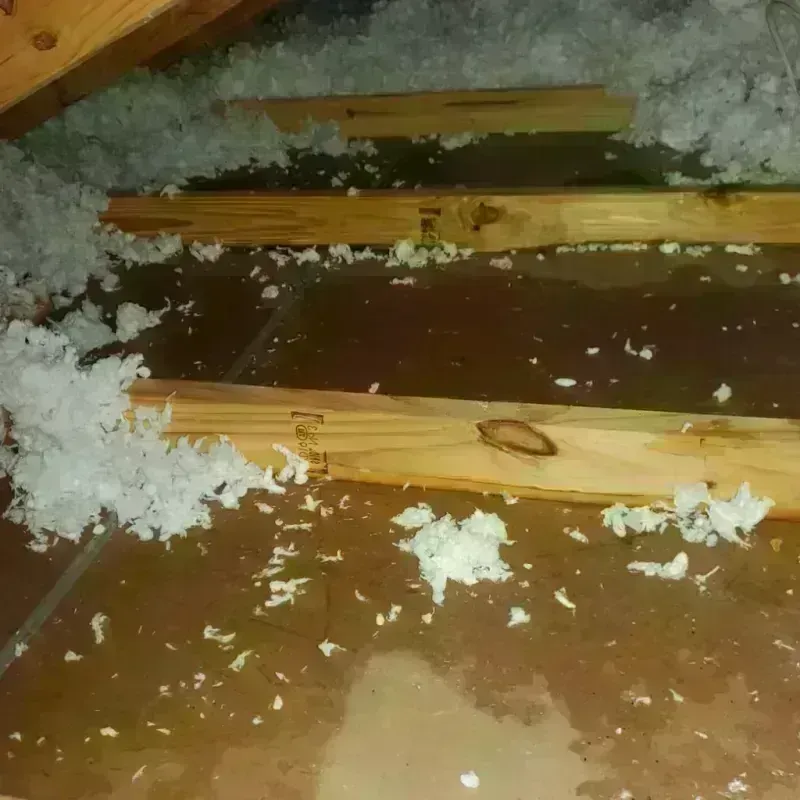 Attic Water Damage in Bull Run, VA